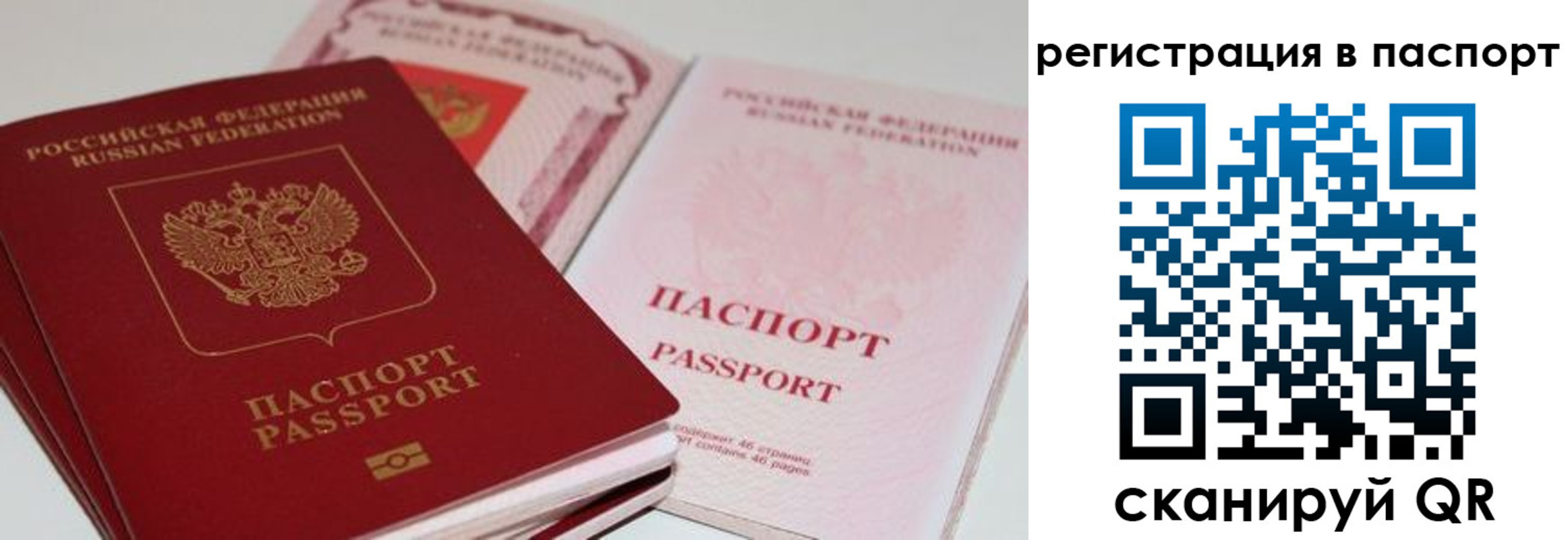 временная регистрация недорого в Амурской области